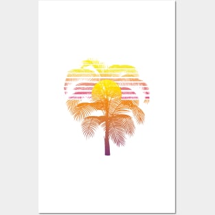 Palm Sunset Posters and Art